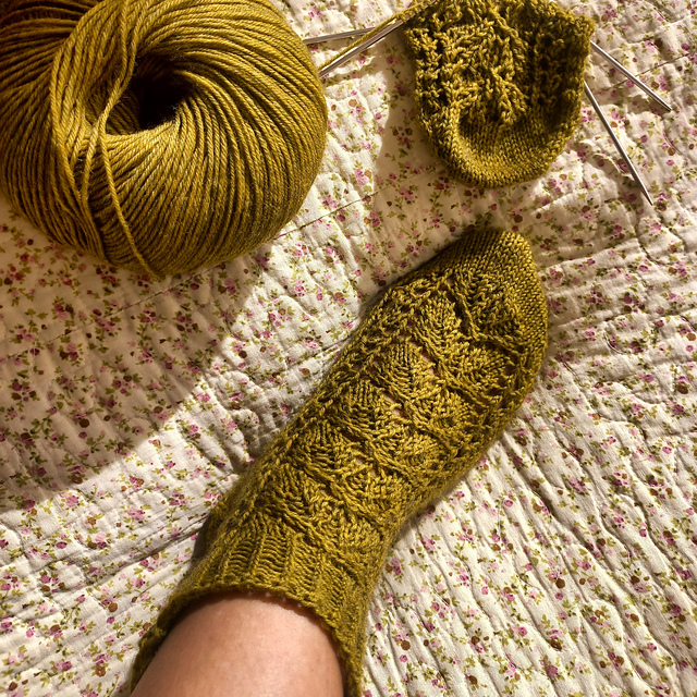 Early Autumn Socks