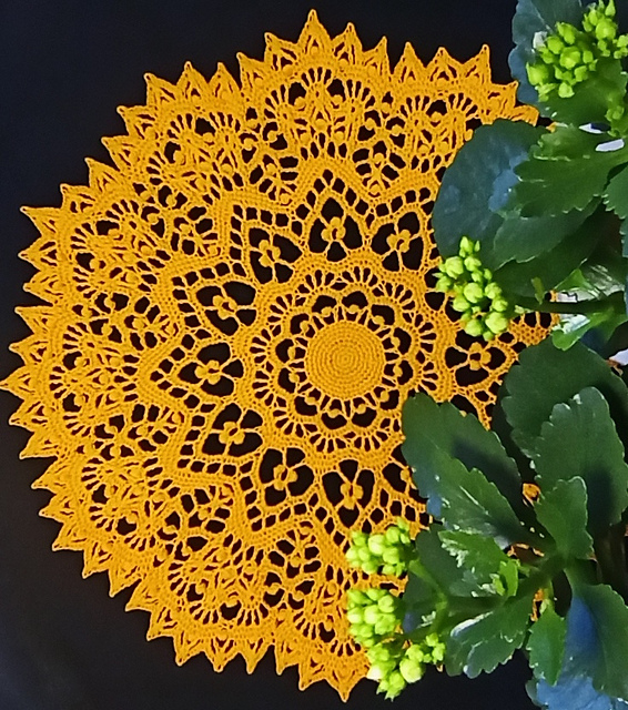Sunshine