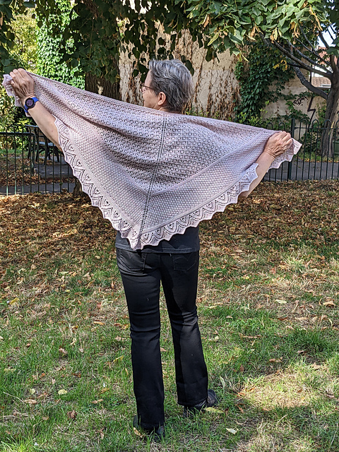 Narcisse Shawl