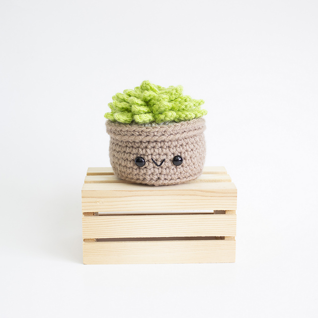 Amigurumi Succulent