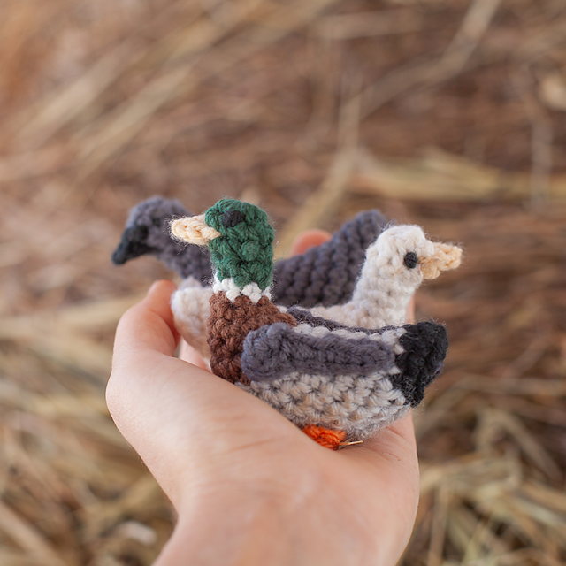Little Duck