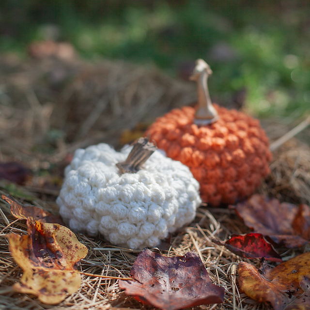 Bobble Pumpkin