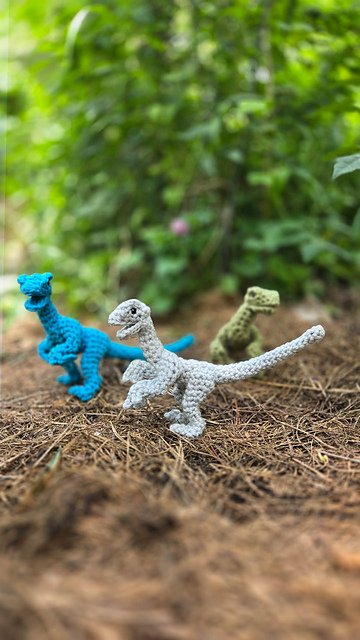 Raptor Dinosaur