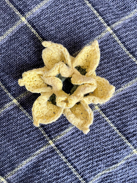 Peachy's Daffodil Hammock