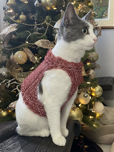 Christmas Tree Cat Vest