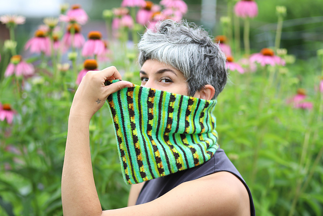 Future Swallowtail Cowl