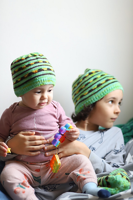 Future Swallowtail Hat