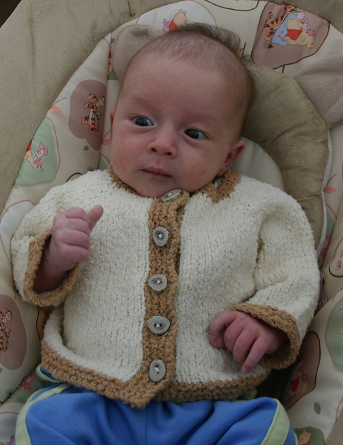 Cuddly Bear Baby Cardigan
