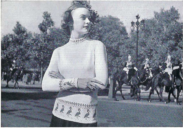 Processional Pelicans Jumper