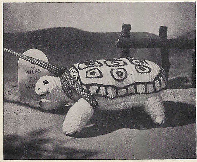 Tommy Tortoise