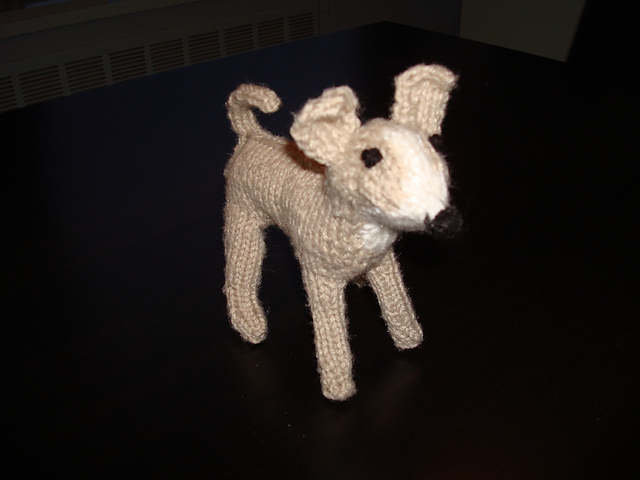 Chihuahua