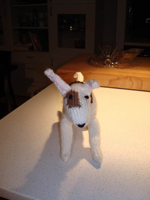 English Bull Terrier