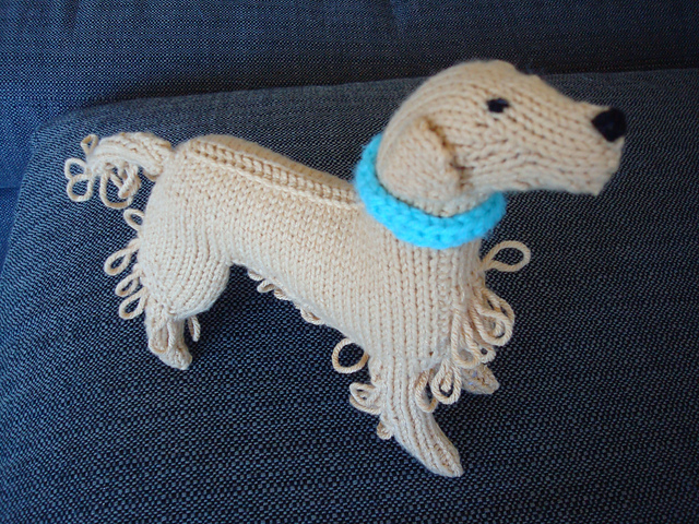 Golden Retriever