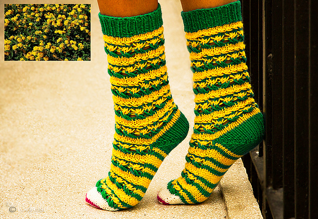 Lantana Socks