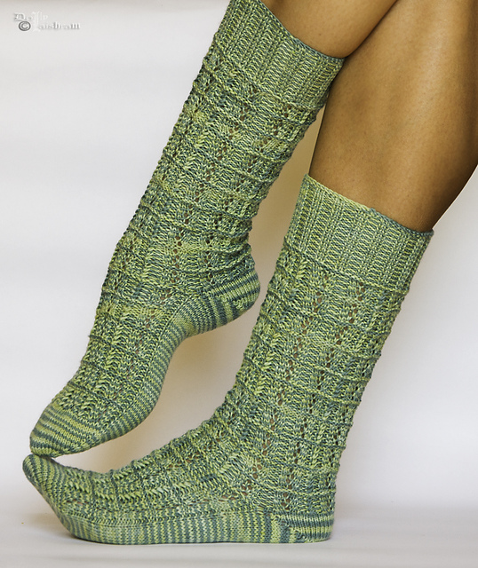 Rhythm Fences Socks