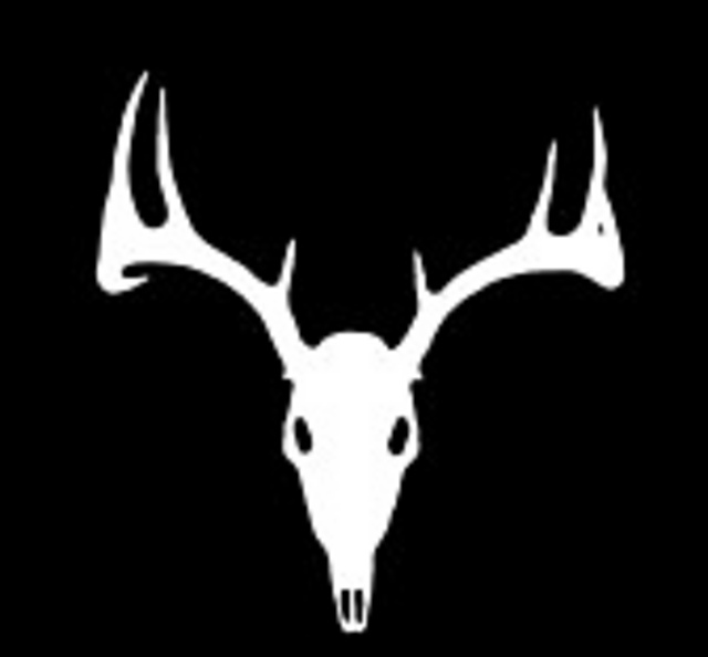 European Deer Skull Chart