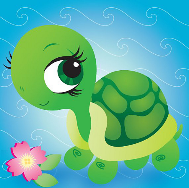 Baby Turtle Chart