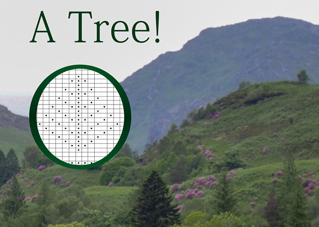 A Tree!