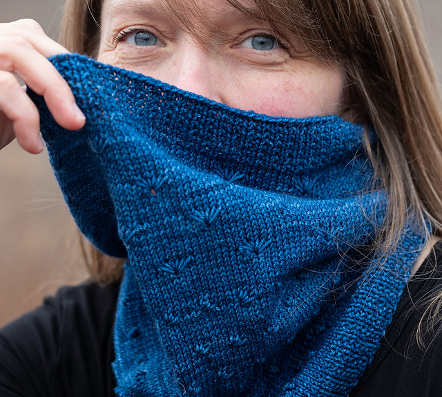 Patient Cowl