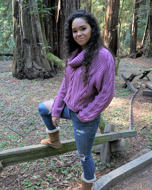 Top Down Raglan Sweater