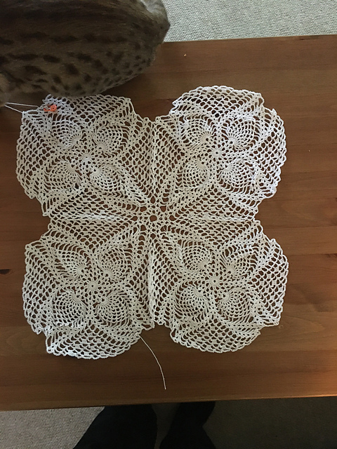 Bedspread and Pillow to Match