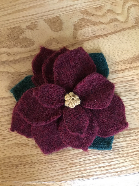 Poinsettia