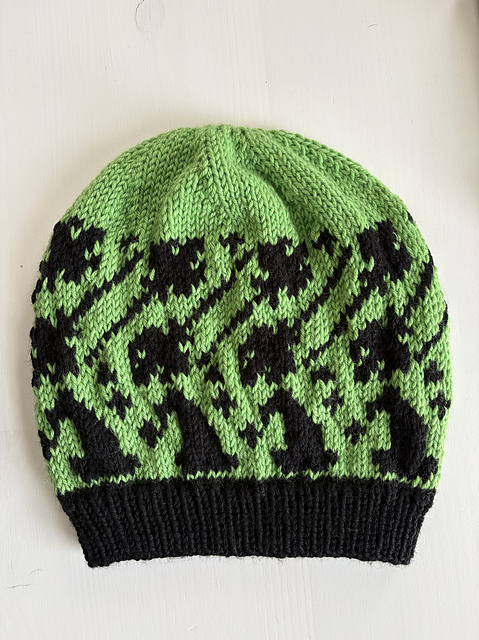 Elphaba Thropp Hat