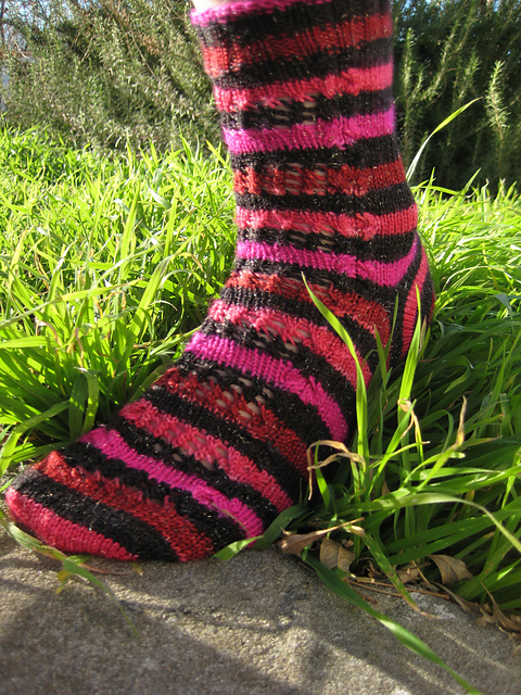 Kiss Kiss Lace Lace Socks