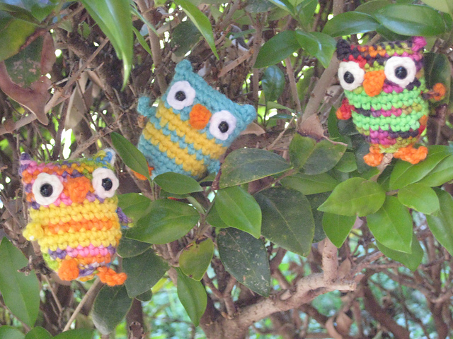 T.O. the Tiny Owl