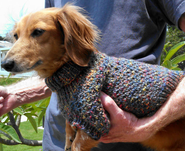 Cozy Brioche Miniature Dachshund Dog Sweater