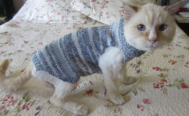 Boney Frank's Pet Sweater