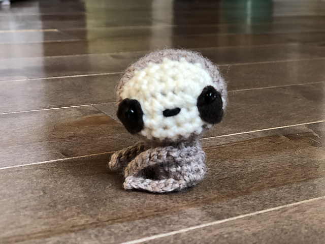 Zippy the Baby Sloth