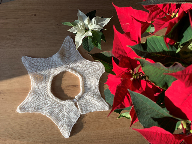 Poinsettia Collar - Adult