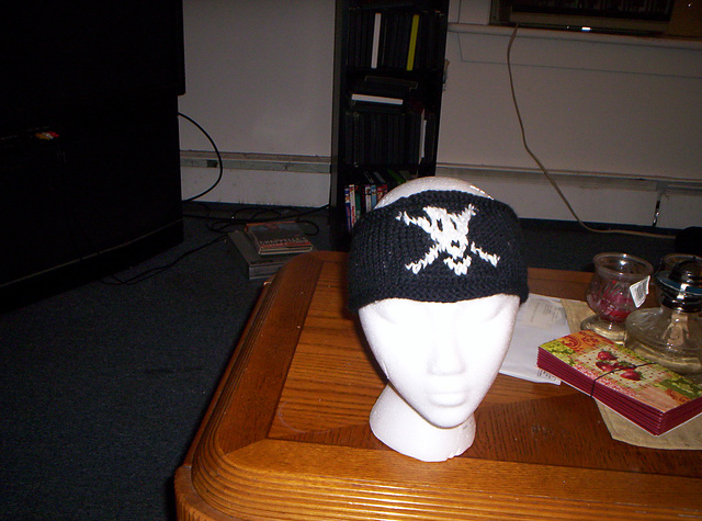 Armband Media Holder & Earwarmers