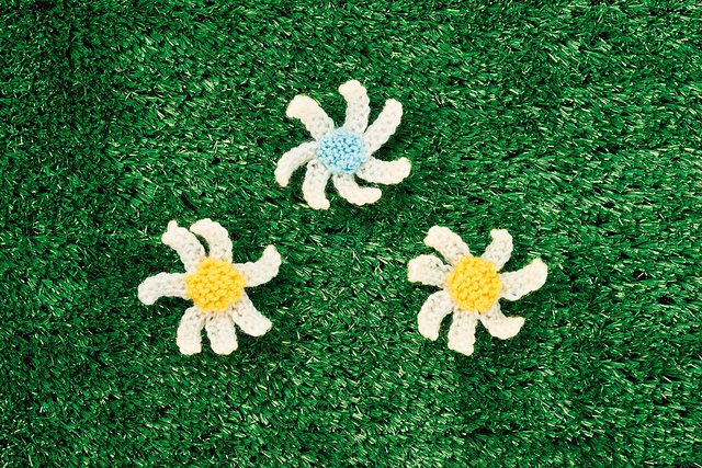 Dainty Daisies