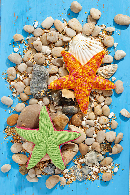 Summery Starfish