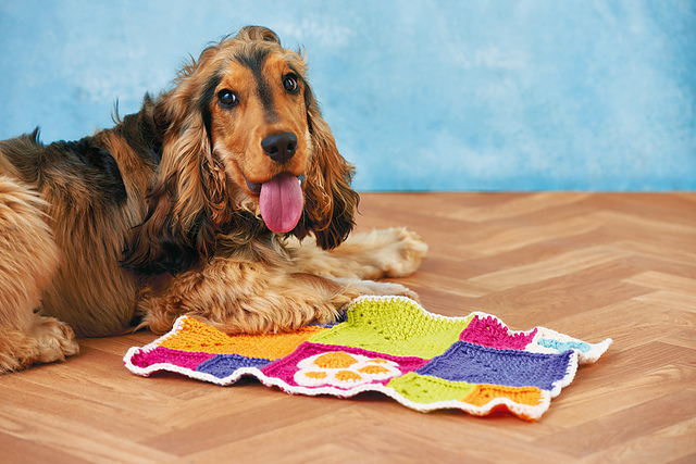 Dog Comforter