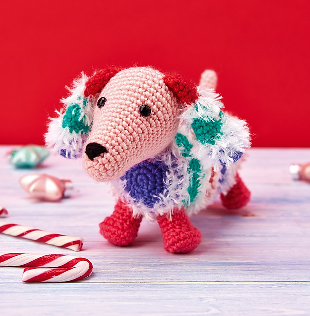 Snowy The Dachshund