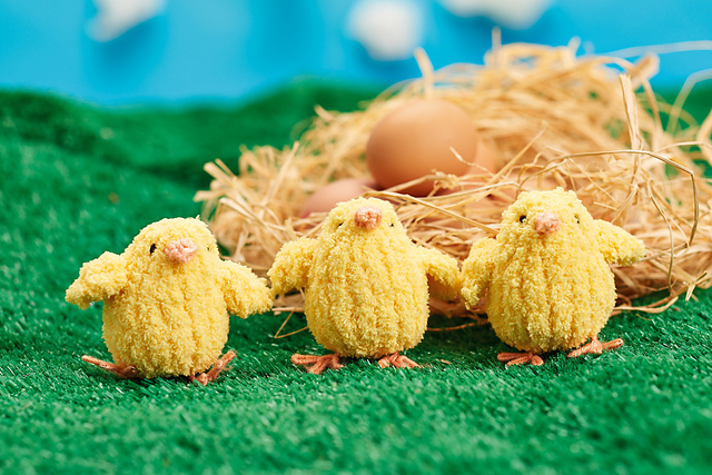 Trio Of Chicks