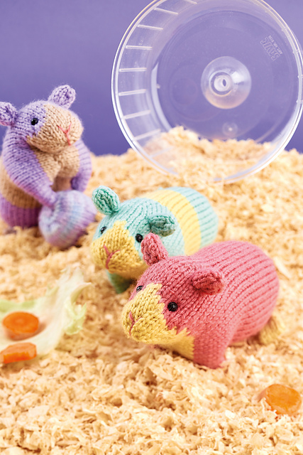 Guinea Pigs