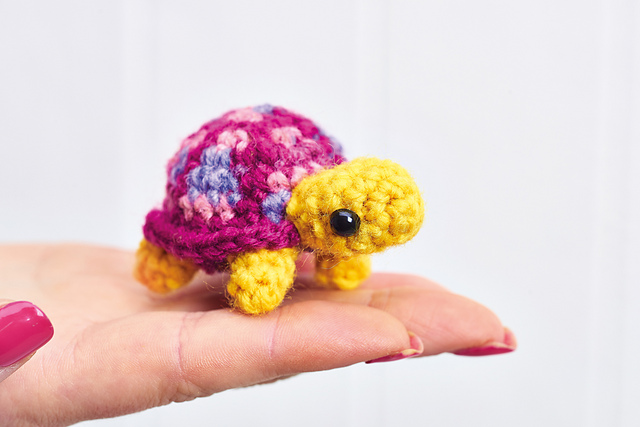 Teeny Tortoises
