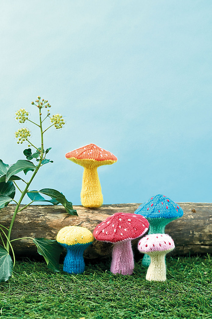 Toadstool Patch