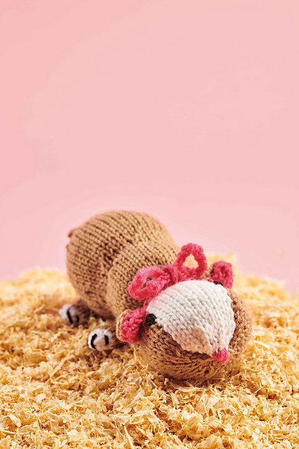 Guinea Pig