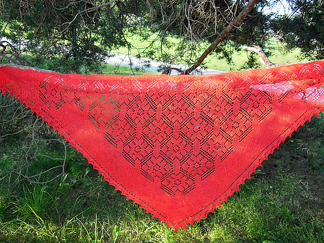 Youth. Lace study 6 in one pattern