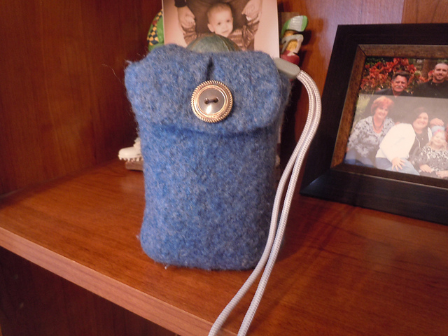 Felted Digital Camera Case