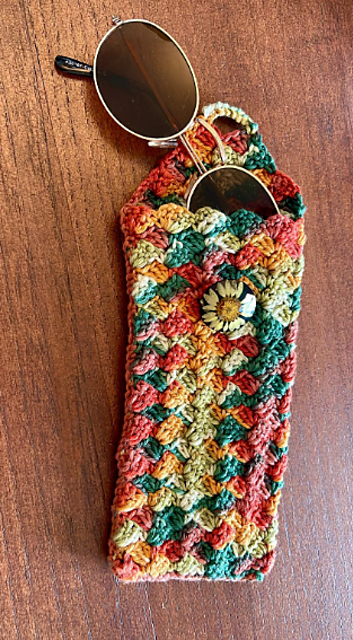 Sunglasses Case