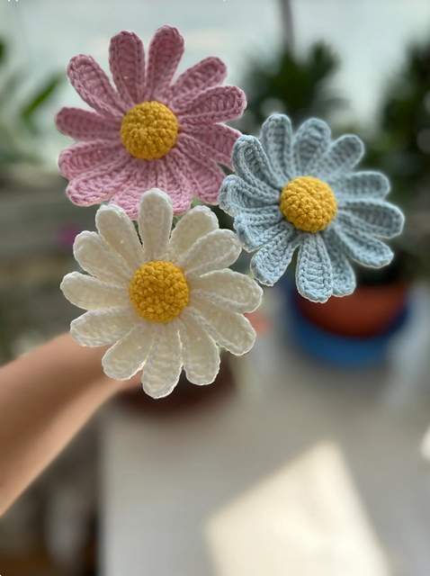 Flower: Daisy