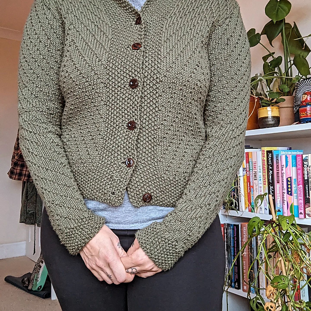Smart yet Serviceable Waistcoat Cardigan