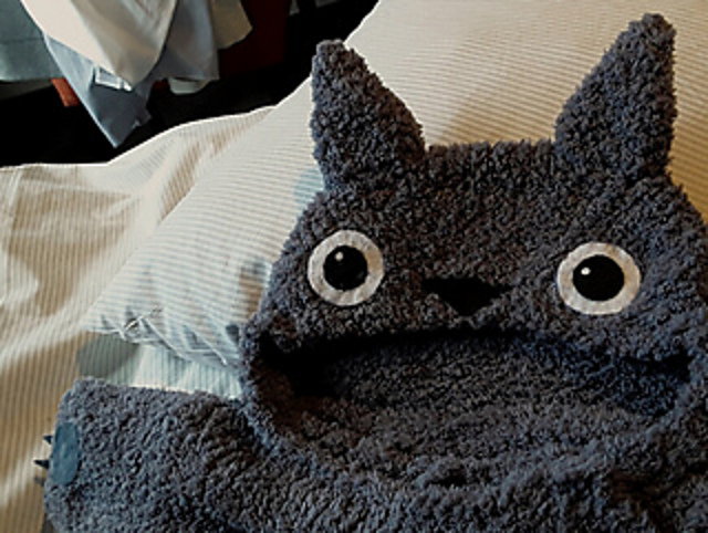Totoro Baby Sleeping Bag