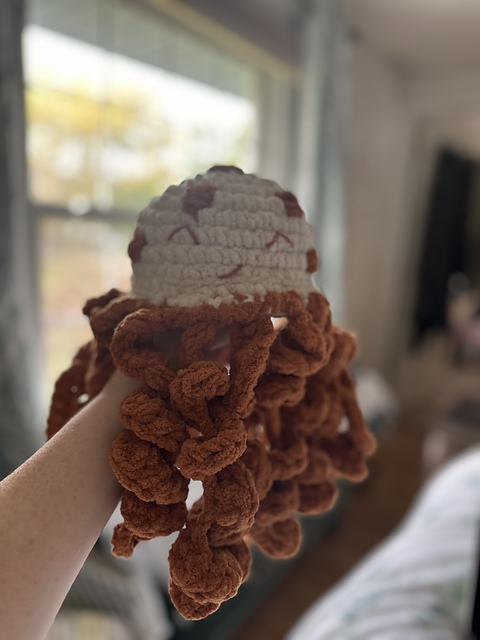 Mushroom Jellyfish